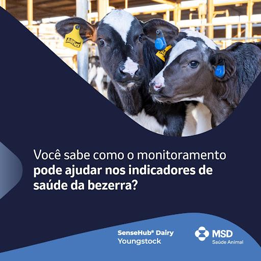 As bezerras representam o futuro da produção e precisam de atenção e acompanhamento constantes. Com o uso de novas tecnologias, como dispositivos de monitoramento, é possível detectar precocemente doenças e identificar bezerras que necessitam de atenção especial, analisando dados sobre a voracidade da sucção/mamada, a atividade da bezerra e a ruminação no pós-desmame. Na MSD Saúde Animal, você pode contar com o SenseHub® Dairy Youngstock para monitorar suas bezerras 24 horas por dia, 7 dias por semana! Faça intervenções precoces com tratamentos mais assertivos e personalizados para seus animais, invista tempo e recursos de forma mais eficiente e direcione a atenção para quem realmente precisa. Para saber mais, entre em contato pelo número (11) 4004-4874 (WhatsApp). Monitore suas bezerras com SenseHub® Dairy Youngstock e garanta o futuro da sua produção!

MSD Saúde Animal.