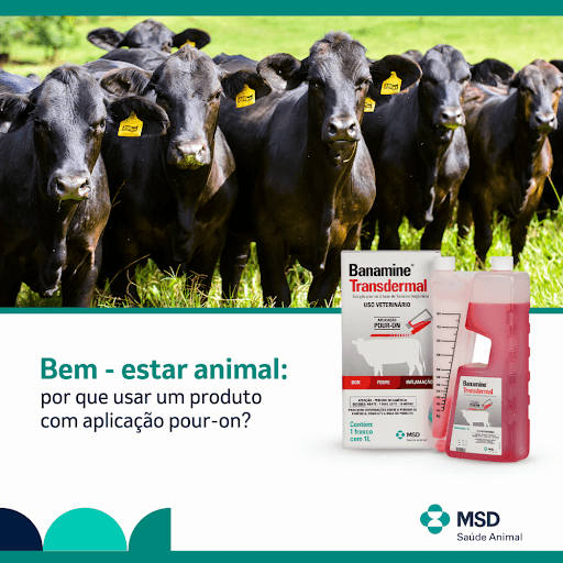 Banamine® Transdermal - O bem-estar animal é de extrema importância para a manutenção da saúde do rebanho e para a produtividade da fazenda. Por isso, além do cuidado e tratamento adequado aos animais, produtos de uso pour-on contribuem ainda mais para o bem-estar devido à sua alta tecnologia e dispensa da necessidade do uso de agulhas e injeções, trazendo mais conforto aos animais tratados, além de facilitar o manejo e o trabalho do médico veterinário e dos funcionários da fazenda. Banamine® Transdermal é um exemplo de produto de uso pour-on, indicado no controle e alívio da dor, febre e outros sinais da inflamação e extremamente eficiente em casos de mastite e em doenças respiratórias bovinas. Aplicado diretamente sob a pele do dorso do animal, Banamine® Transdermal com apenas uma dose traz rápido retorno à produção, com mais praticidade e bem-estar para seu animal. Consulte seu médico veterinário para saber mais.


MSD Saúde Animal.