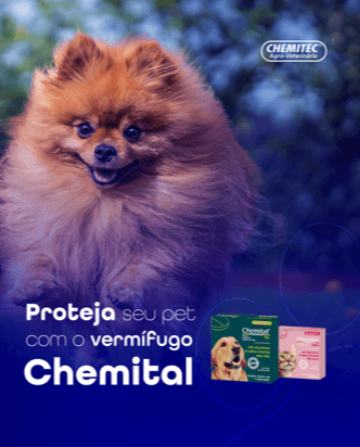 Chemital - O vermífugo Chemital® é um produto produzido pela Chemitec para agir contra verminoses em pets. 

As verminoses são doenças causadas por diferentes tipos de vermes que parasitam o intestino dos animais, causando diversos sintomas e, em alguns casos, podendo trazer riscos à vida do pet. 

Por esse motivo, a utilização de vermífugos é indispensável para manter a saúde dos animais. Nesses casos, Chemital® se apresenta como uma ótima opção, segura e eficaz na eliminação dos vermes.

O produto, desenvolvido pela Chemitec, pode ser encontrado nas seguintes versões:

Chemital® Plus;
Chemital® Puppy;
Chemital® Cães;
Chemital® Gatos.

Proteja seus animais de parasitas com Chemital®. Consulte um veterinário para saber mais!

 #Chemitec #InovaçãoVeterinária #SaúdeAnimal #MedicinaVeterinária #ProdutosVeterinários #EmpreendedorismoBrasileiro