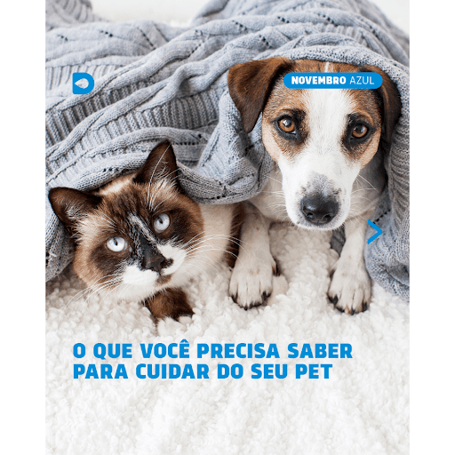 Novembro Azul - O Novembro Azul é um movimento que visa alertar sobre a importância de prevenir e diagnosticar precocemente o câncer de próstata. Embora seja incomum em cães e gatos, quando se manifesta, tende a ser agressivo e potencialmente metastático 🐾

Dificuldade para urinar, fezes em forma de fita, sangue na urina e perda de peso podem ser indícios da doença. 

Junte-se a nós nesta missão de amor e cuidado pelos nossos amigos peludos.