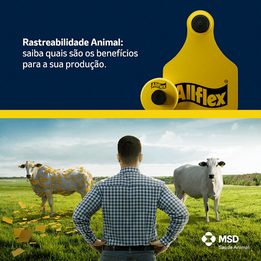 Allflex® - A Rastreabilidade é um sistema de controle que permite a identificação individual de cada animal desde o nascimento até a mesa do consumidor, registrando todas as ocorrências relevantes ao longo de sua vida. Ela não apenas garante a origem, segurança e a qualidade dos produtos, mas também aumenta a eficiência na gestão, abre novos mercados e fortalece a confiança entre produtores e consumidores. Com os identificadores visuais e eletrônicos Allflex® da MSD Saúde Animal, o produtor tem uma gestão mais otimizada e individualizada, gastando menos tempo com as tarefas do rebanho, com dados mais precisos e confiáveis para tomar decisões mais assertivas, otimizando sua produção e rentabilizando seus negócios. Entre em contato com a central de vendas Allflex® pelo número (11) 4004 – 4874 (WhatsApp) ou pelo e-mail centralallflex@merck.com e saiba mais!

MSD Saúde Animal.