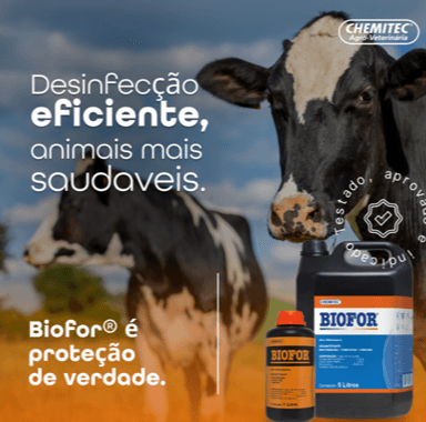 Desinfecção eficiente, animais mais saudáveis - Com uma rápida ação na eliminação de vírus, bactérias e fungos, o desinfetante Biofor® é baseado no complexo de iodophor, uma combinação de iodo com detergentes.

O Biofor® foi especialmente desenvolvido pela Chemitec para ser usado em ambientes de criação de equinos, bovinos, suínos, aves e caprinos, garantindo maior proteção e saúde para esses animais.

Proteja seus animais com a segurança e eficácia de um produto Chemitec.