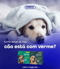 O Cão está com verme? - É bastante comum que cãezinhos sejam afetados por vermes, e isso pode ocorrer por contato com fezes ou objetos contaminados e até mesmo alimentação contaminada.

Combater os sintomas desde os primeiros sinais é fundamental para a rápida recuperação do cachorro. Os sintomas podem ser notados pelo tutor, sendo eles: 
Diarreia ou fezes com sangue
Vômitos
Perda de apetite
Perda de peso
Apatia
Dor abdominal
Alterações no pelo
A vermifugação regular é essencial para a saúde do seu amigo!

As verminoses compõem um grupo de doenças de alta prevalência entre nossos pets. Causada por variadas espécies de vermes, e algumas vezes também por protozoários, a verminose pode ocasionar sérios danos à saúde de nossos bichinhos, por isso o ideal é sempre usar vermífugo para cães para combater esse tipo de doença.

Conheça a linha de vermífugos da Chemitec

#Chemitec #JuntosSomosChemitec #pet #cão #vermífugo #verme