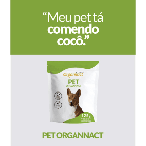 Pet Organnact 125G - Organnact - ("Meu pet tá comendo cocô.")





Suplemento vitamínico mineral aminoácido indicado para cães em qualquer fase da vida, contendo vitamina A, glutamina, vitaminas do complexo B, probiótico e prebiótico. Pode ser utilizado em casos de coprofagia e para trocas de alimentação.